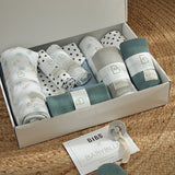Pregnancy Box Elephants & Stars