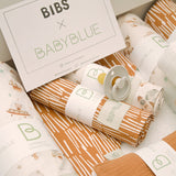 Pregnancy Box Space & Stripes