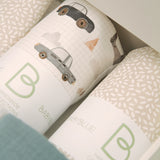 Pregnancy Box Cars & Natural