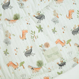 Dinos Χαλάκι Δραστηριοτήτων