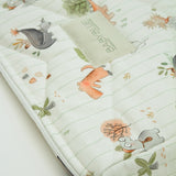 Dinos Νεσεσέρ