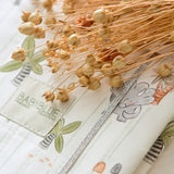 Dinos Θήκη Βιβλιαρίου