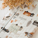 Cars Θήκη Βιβλιαρίου