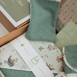 Dinos Baby Shower Box