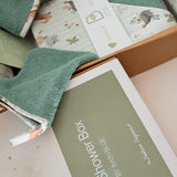Dinos Baby Shower Box