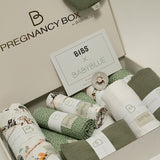 Pregnancy Box Adventure & Galaxy