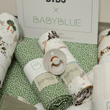 Pregnancy Box Adventure & Galaxy